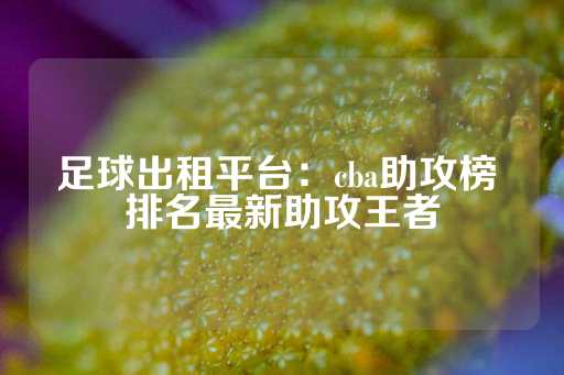 足球出租平台：cba助攻榜 排名最新助攻王者