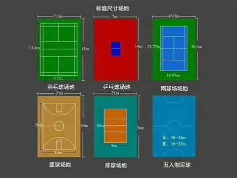 乒乓球场地标准尺寸大小是多少？-第3张图片-www.211178.com_果博福布斯