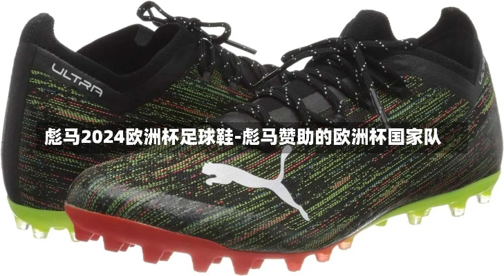 2016欧洲杯彪马足球鞋 puma2021欧洲杯新鞋-第2张图片-www.211178.com_果博福布斯