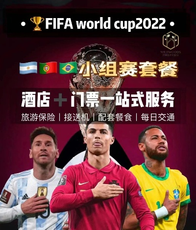 世界杯 门票 护照 2022世界杯门票购买流程-第3张图片-www.211178.com_果博福布斯